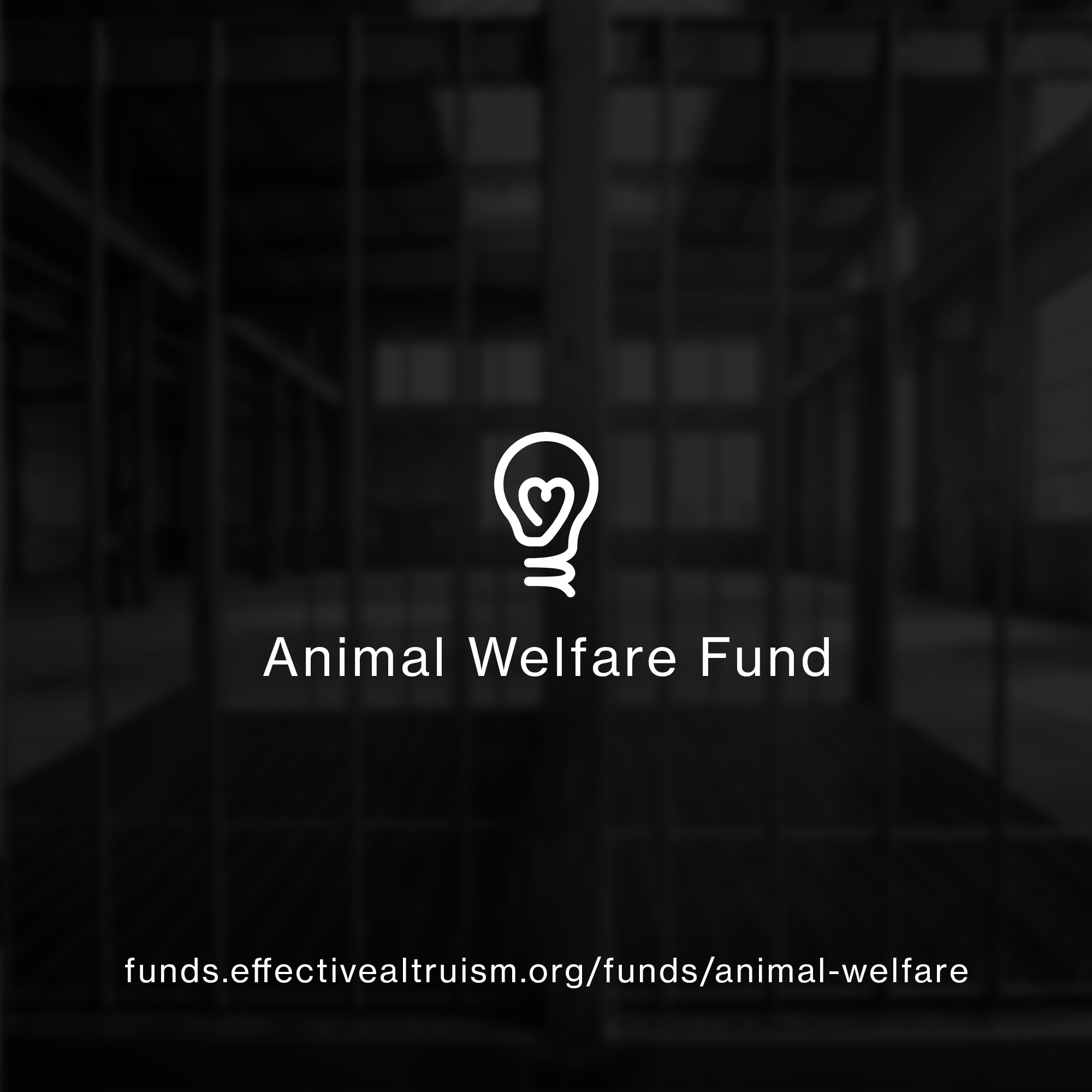 Animal Welfare Fund campaign slide 7
