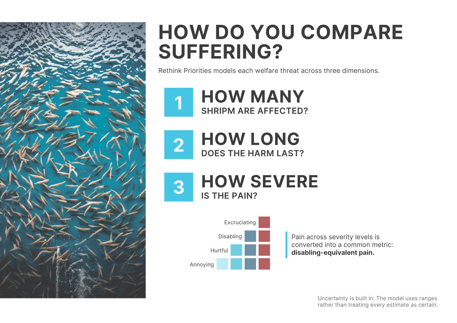 How do you compare suffering